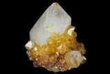 Sunshine Cactus Quartz Crystal - South Africa #115150-1